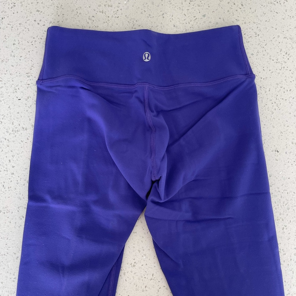Purple Wunder Under Crop